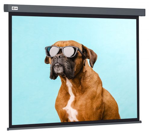 Экран Cactus 149.4×265.7см Wallscreen CS-PSW-149X265-SG 16:9 настенно-потолочный рулонный серый