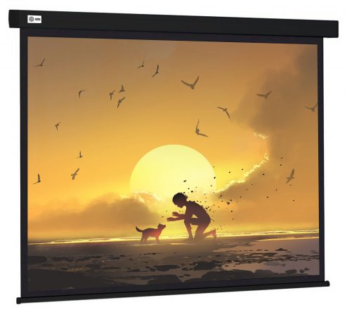 Экран Cactus 150×150см Wallscreen CS-PSW-150X150-BK 1:1 настенно-потолочный рулонный черный